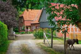 viele landwirtschaftliche Erzeuger bieten ihre schönen Naturplätze zur Übernachtung